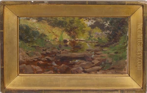 Forest Stream - view 1