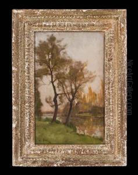 Herbstliche Fluslandschaft - view 1