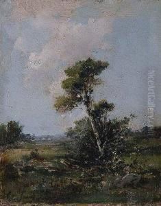 Paisaje Con Pino