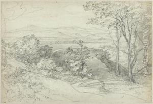 Wooded Hilly Landscape With A Lake - view 1