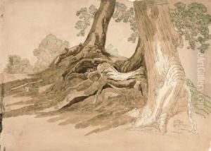 Baumstudie Mit Wurzelwerk. by Friedrich Salathe