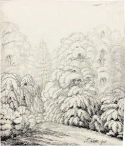 View Of A Field Surrounded By Woods View Of A Field Surrounded By Woods