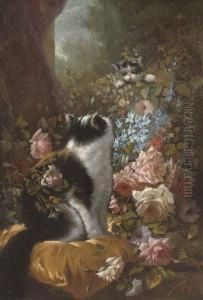 Peek-a-boo! by Abel Salazar