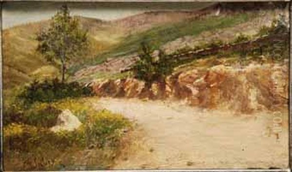 Paisaje De Montana - view 1