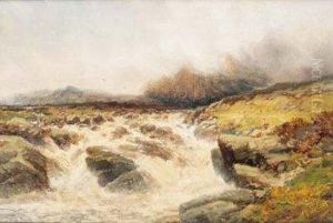 Cascada by Manuel Salces y Gutierrez