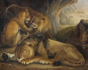 Lions Et Lionne Dans Une Grotte by Raden Sjarief B. Saleh