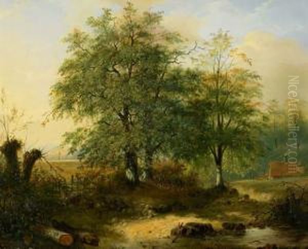 Landscape - view 1