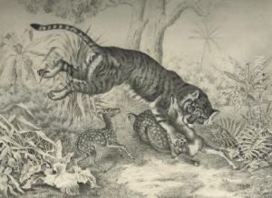 A Tiger Killing A Sika Deer by Raden Sjarief B. Saleh