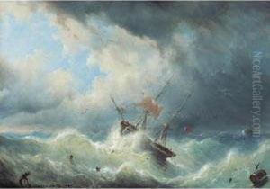 Braving The Storm