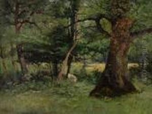 "late Autumn", And Another Of A Woodland Glade With Cattle Grazing by John Cuthbert Salmon