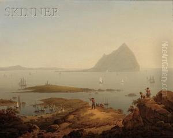 Ailsa Craig - view 1