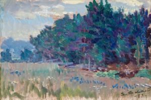 Landscape by Santeri Salokivi