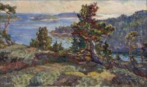 Maisemapellingista. by Santeri Salokivi