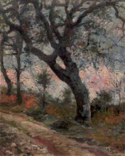 Strada Con Albero - view 1