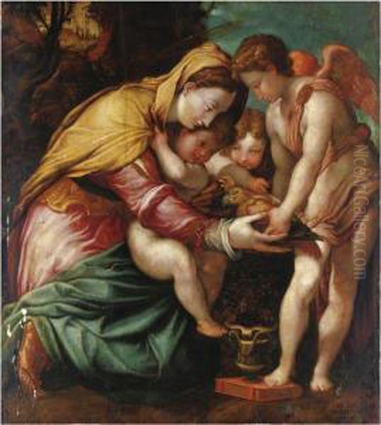 Madonna Del Pappagallo - view 1