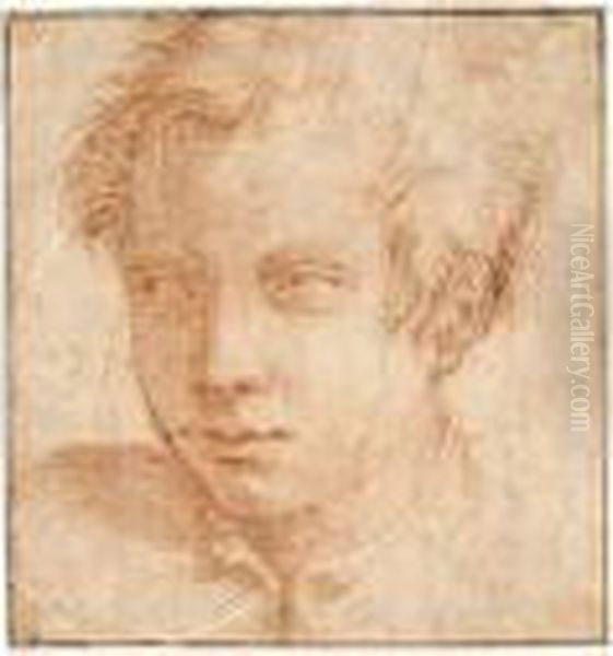 Portrait Of A Young Man - view 1
