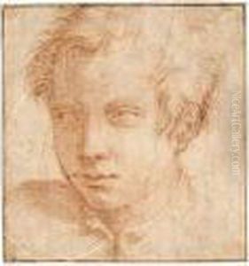 Portrait Of A Young Man