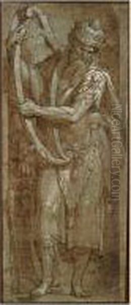 King David - view 1