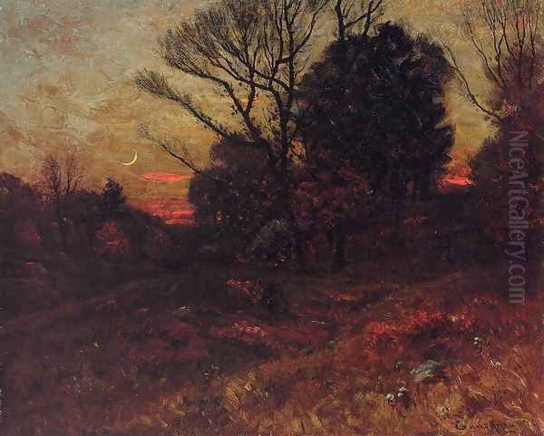 Fall at Dusk, Forest Interior - view 1