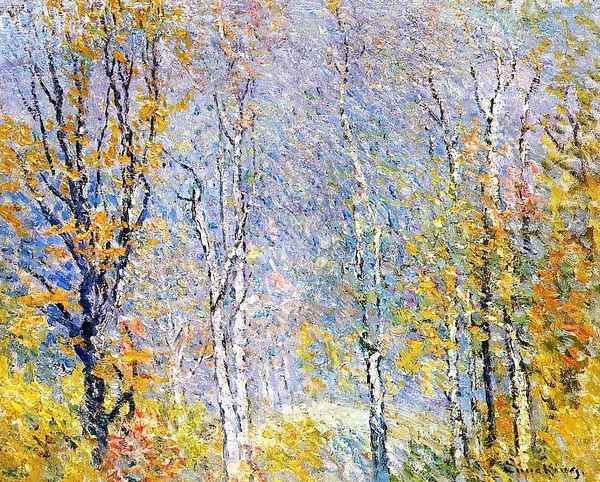 Birches - view 1