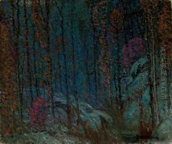 Dark Mood in the Woods - view 1