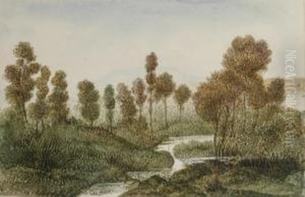Paysage Arbore Traverse Par Une Riviere, Des Montagnes A L'arriere-plan - view 1