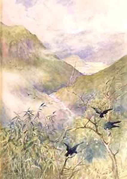 Looking Over the Lilies The Valley of Nikko Looking Eastwards Towards the Province of Shimo no Tsuke - view 1