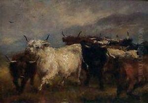 Highland Cattle In A Mountain Landscape by Robert Sanderson