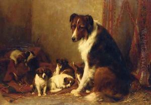 A Collie and Her Puppies