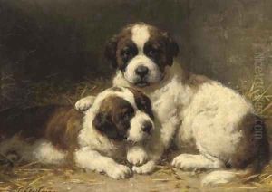 St Bernard pups by Otto Eerelman