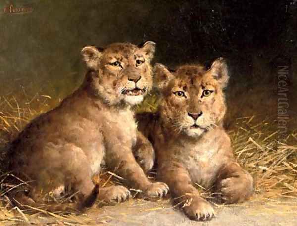 The little lions - view 1