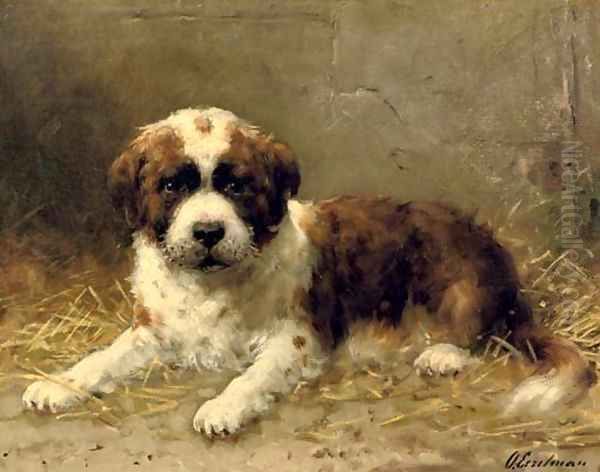A St. Bernard pup - view 1