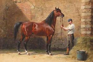 Portrait of an Arab horse