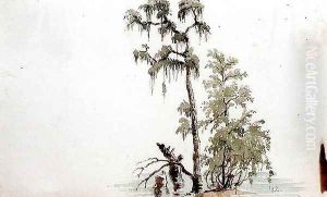Florida River Scene, 1840 by Seth Eastman