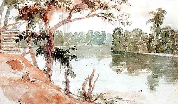 Cypress, Florida, September 1840 - view 1
