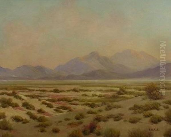 Californiamountainous Landscape - view 1