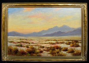 The Desert At Dusk