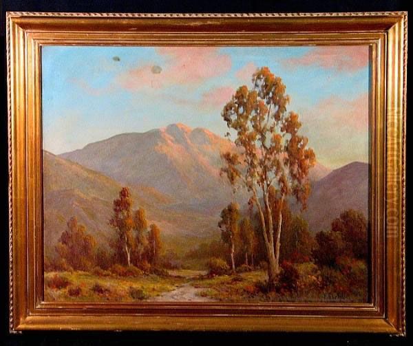 A Mountainous Landscape With Wild Flowers And Eucalyptus Trees - view 1