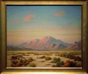 Desert Brush, California