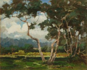 Alberi by Francesco Sartorelli