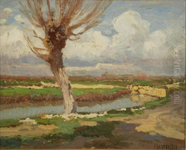 Albero E Fiume - view 1
