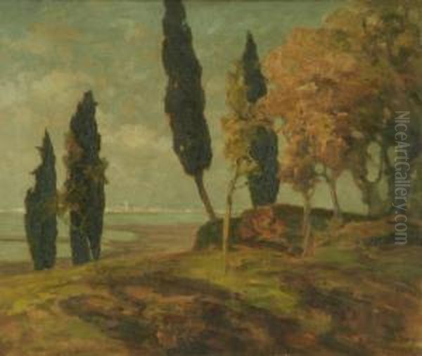 Bosco Degradante A Riva Con Citt All'orizzonte - view 1