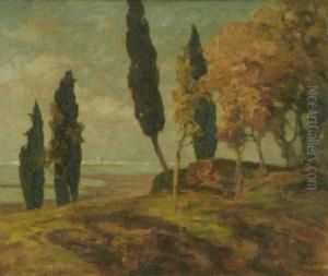 Bosco Degradante A Riva Con Citt All'orizzonte by Francesco Sartorelli