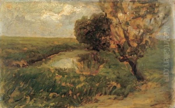 Paesaggio - view 1