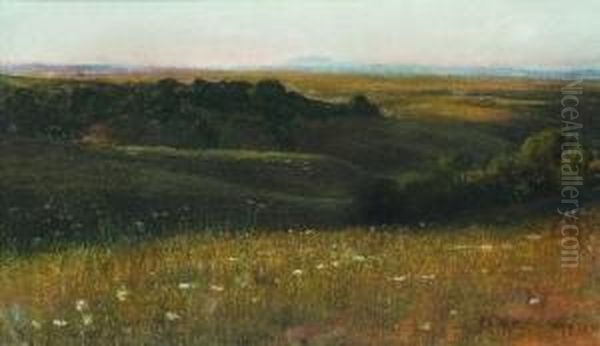 Veduta Della Campagna Romana Con Il Monte Soratte In Lontananza - view 1