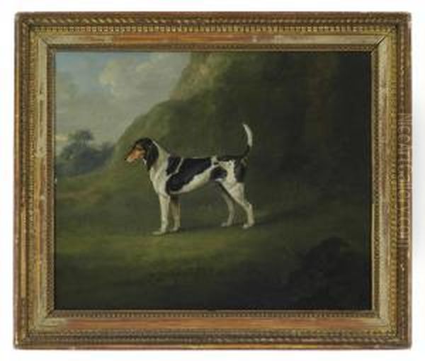 A Foxhound In A Landscape - view 1