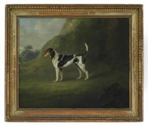 A Foxhound In A Landscape by J. Francis Sartorius