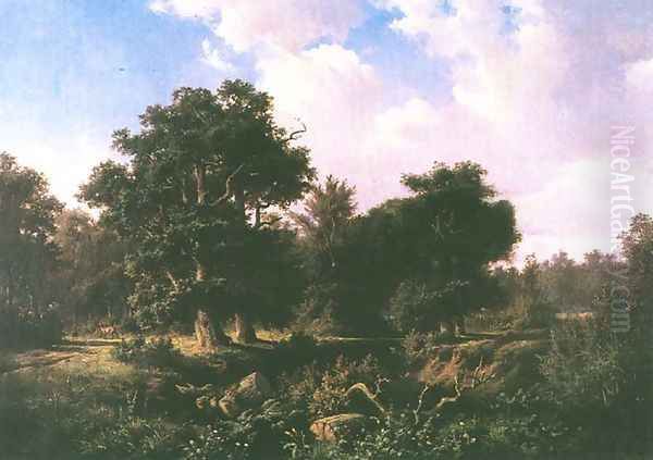 Forest with the European Roe Deer - view 1
