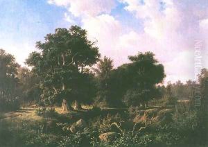 Forest with the European Roe Deer