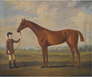 A Chestnut Racehorse Held By A Stable Boy In A Landscape